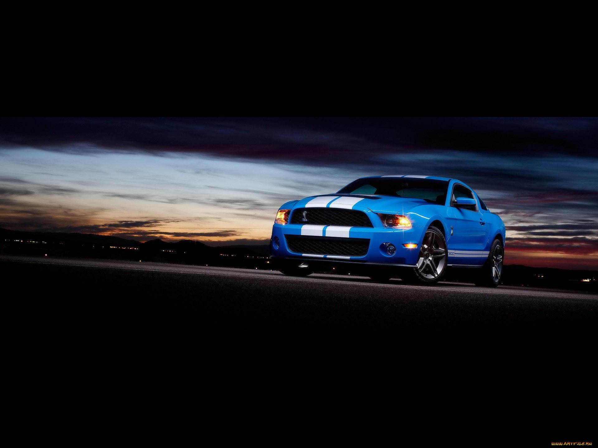 , mustang